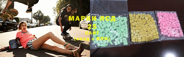 гидропоника Алзамай