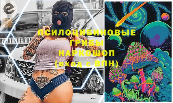 гидропоника Алзамай