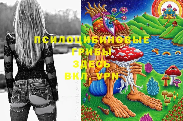 МДМА Алексин