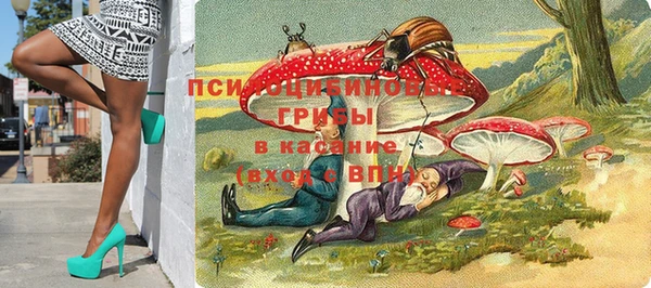 гидропоника Алзамай